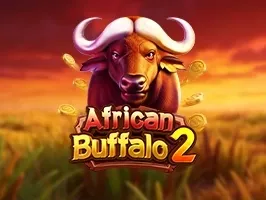 African Buffalo 2